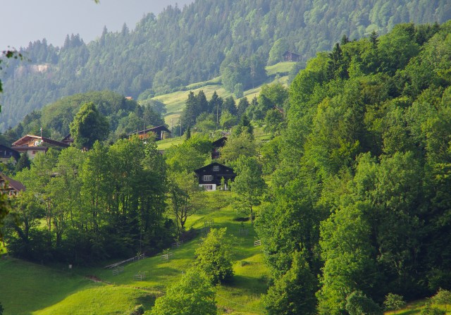 This is the view to the side of us, from our Vitznau apartment balcony - June 2014